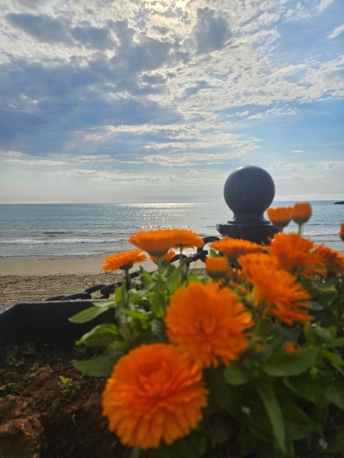 Mondrian Magic World - Sea View First Line Of The Beach Oropesa del Mar Ngoại thất bức ảnh
