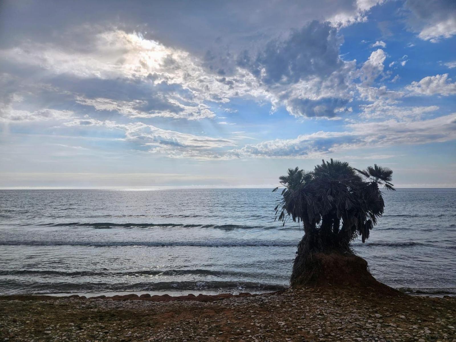 Mondrian Magic World - Sea View First Line Of The Beach Oropesa del Mar Ngoại thất bức ảnh