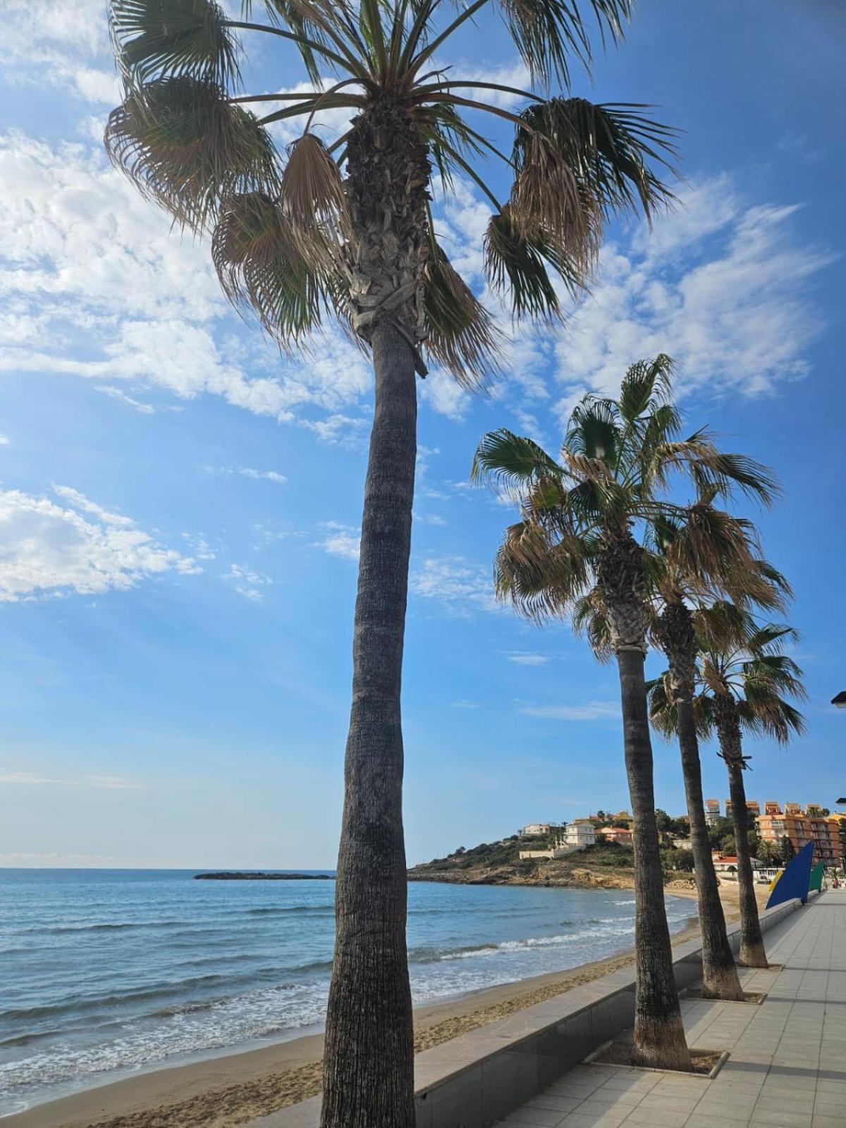 Mondrian Magic World - Sea View First Line Of The Beach Oropesa del Mar Ngoại thất bức ảnh