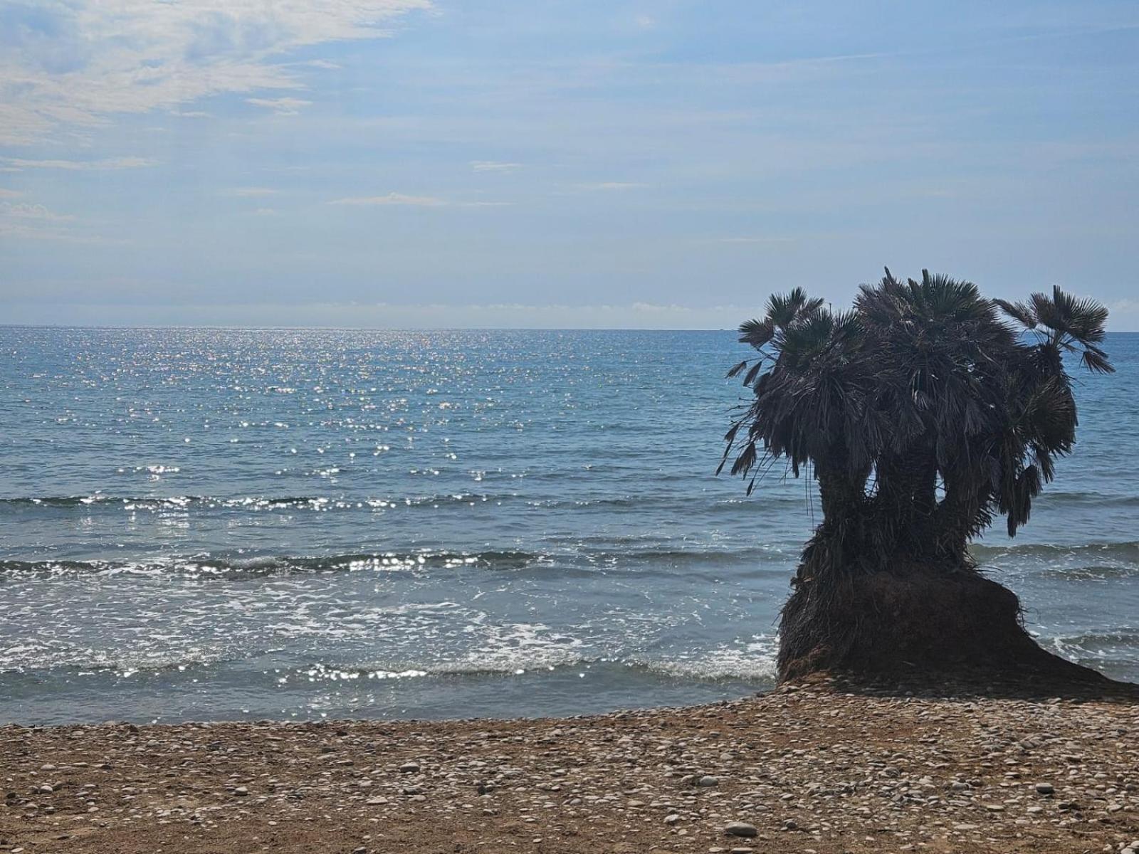 Mondrian Magic World - Sea View First Line Of The Beach Oropesa del Mar Ngoại thất bức ảnh