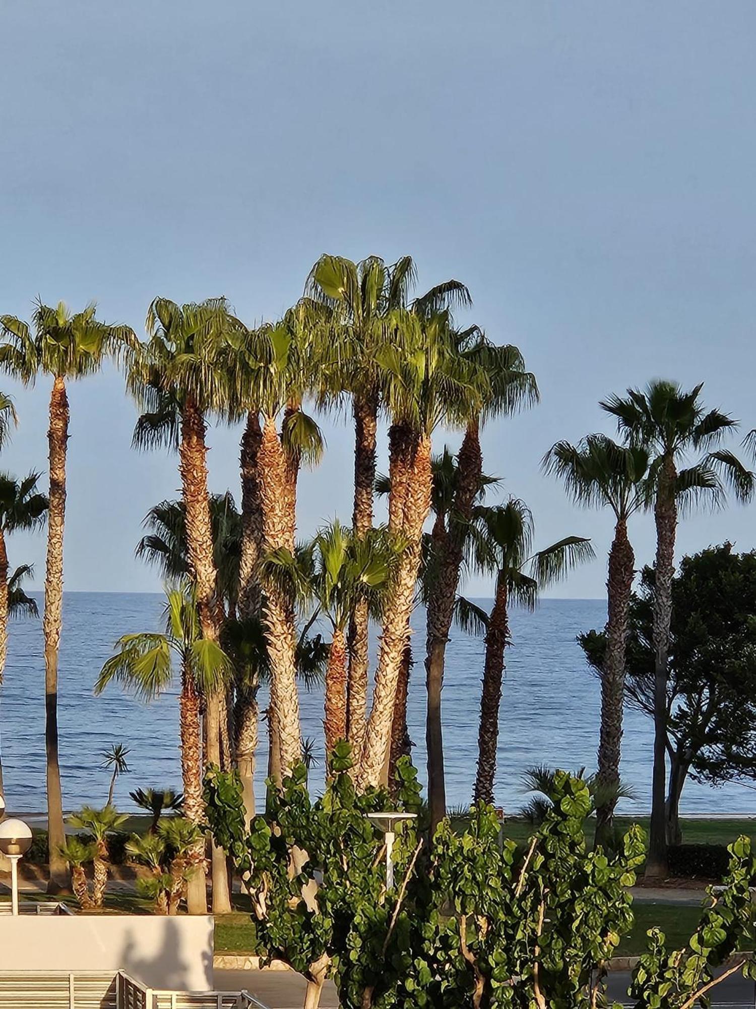 Mondrian Magic World - Sea View First Line Of The Beach Oropesa del Mar Ngoại thất bức ảnh